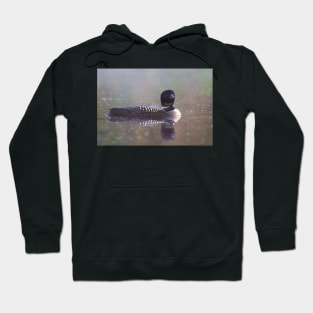 Common Loon - Wilson Lake Hoodie